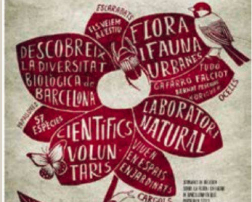 Screenshot 2025-05-02 at 2.38.25 AM